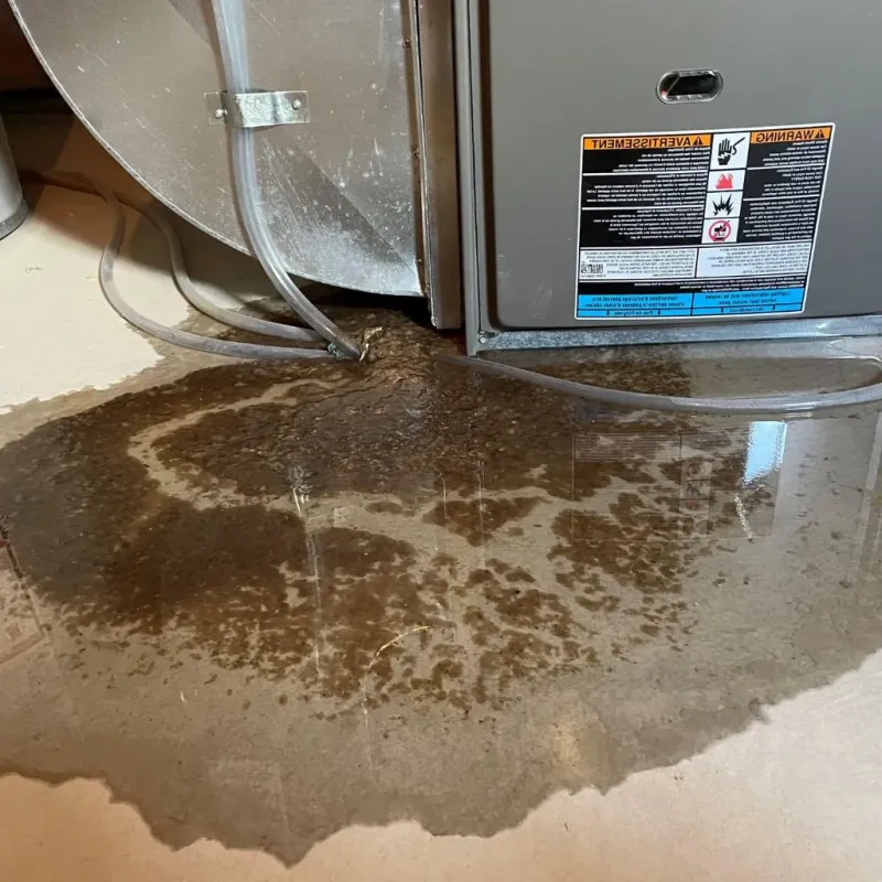 Pipe Burst and Leak Restoration in West Elkridge, MD
